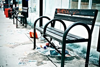 Shelter?